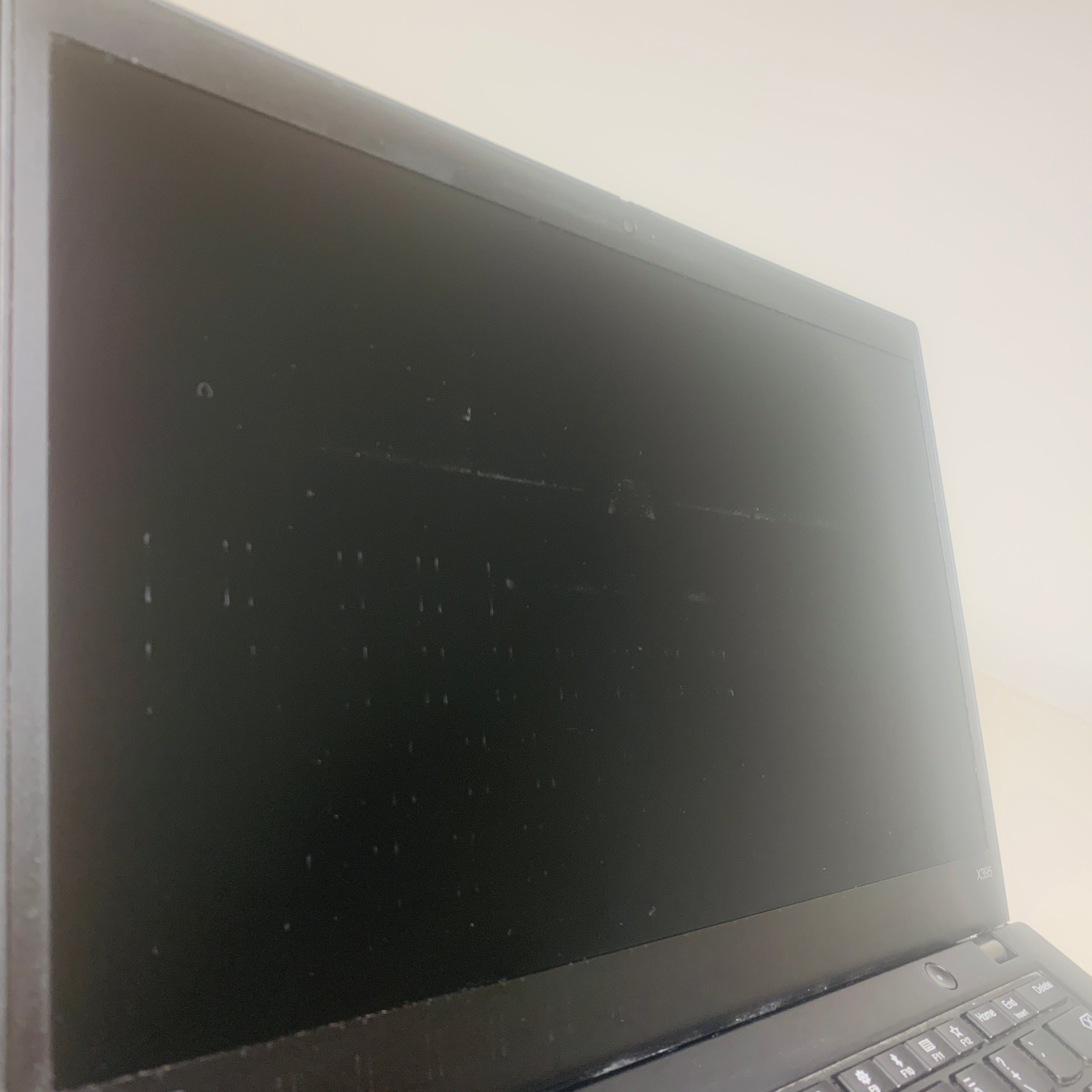 Lenovo ThinkPad X395 | Fyndvara (Typ C)