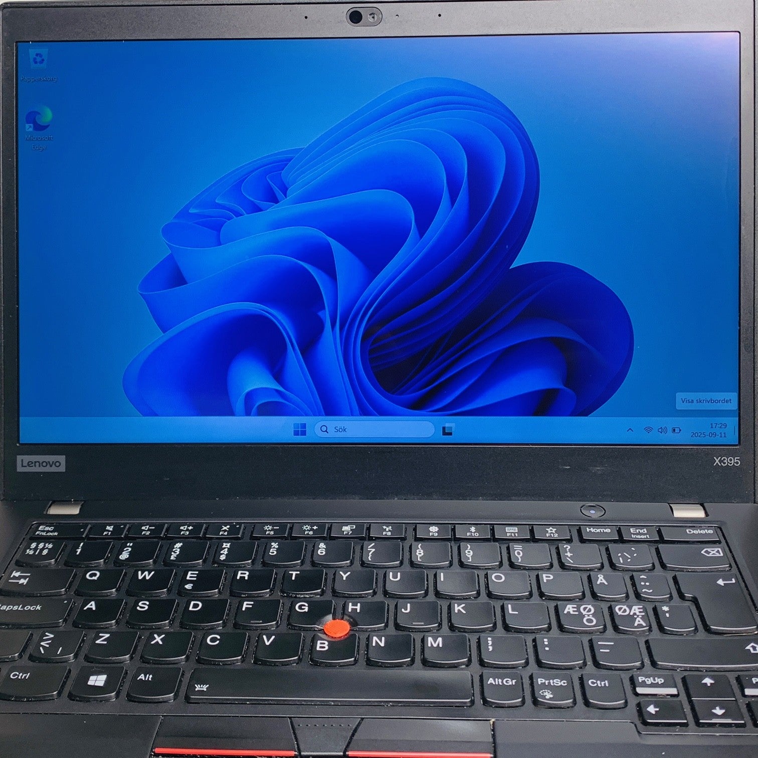 Lenovo ThinkPad X395 | Fyndvara (Typ C)